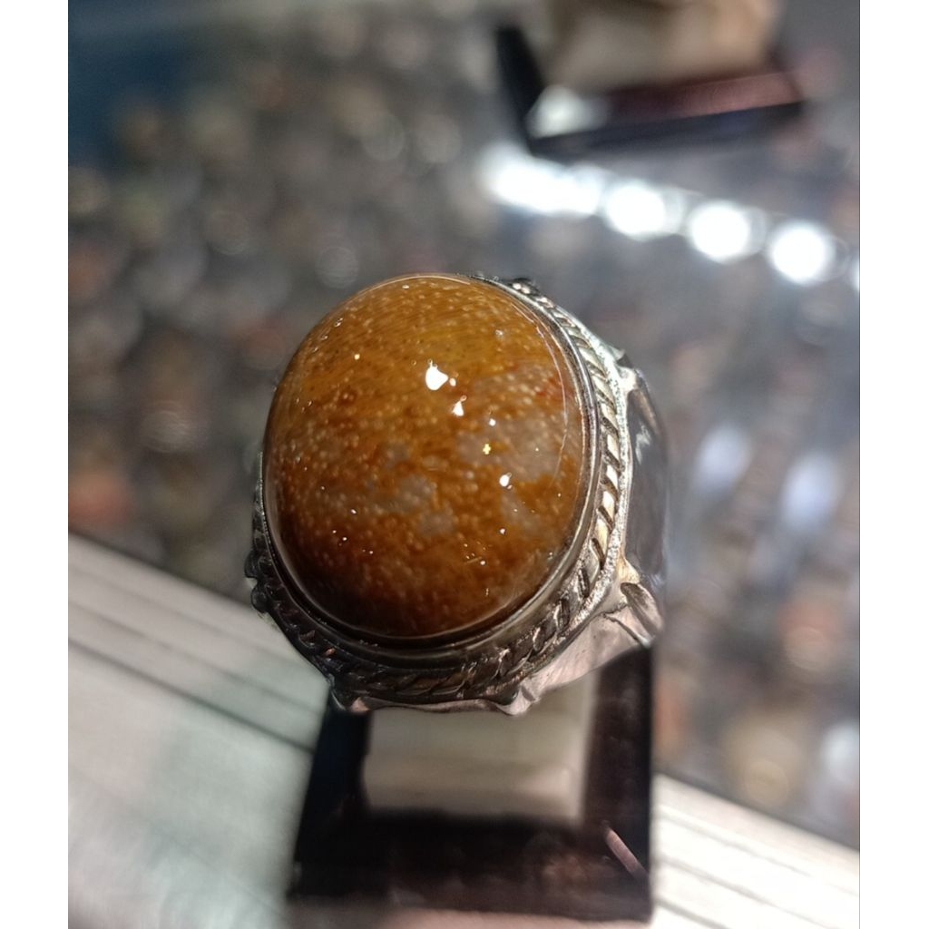 Cincin batu Fosil  kelor (natural)