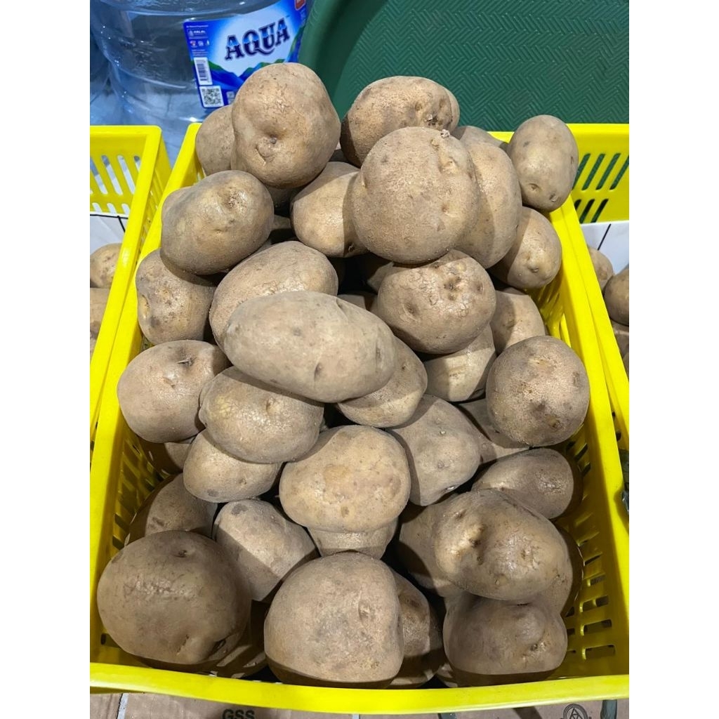 

Kentang Dieng Medium 1 Kg