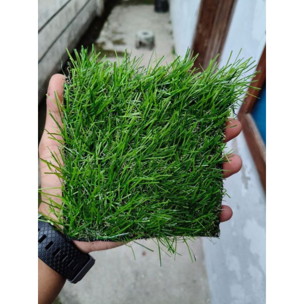rumput sintesis rumput taman