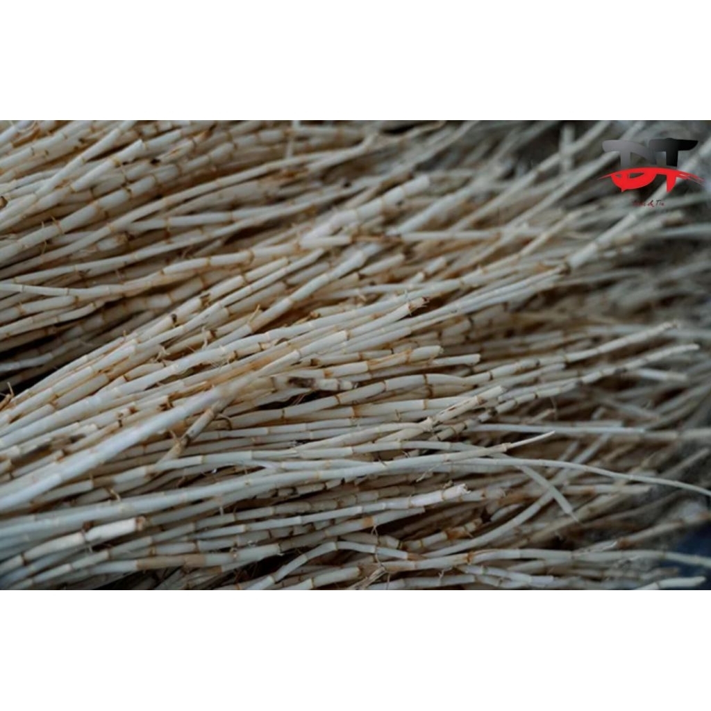 

Akar alang-alang 100 gram