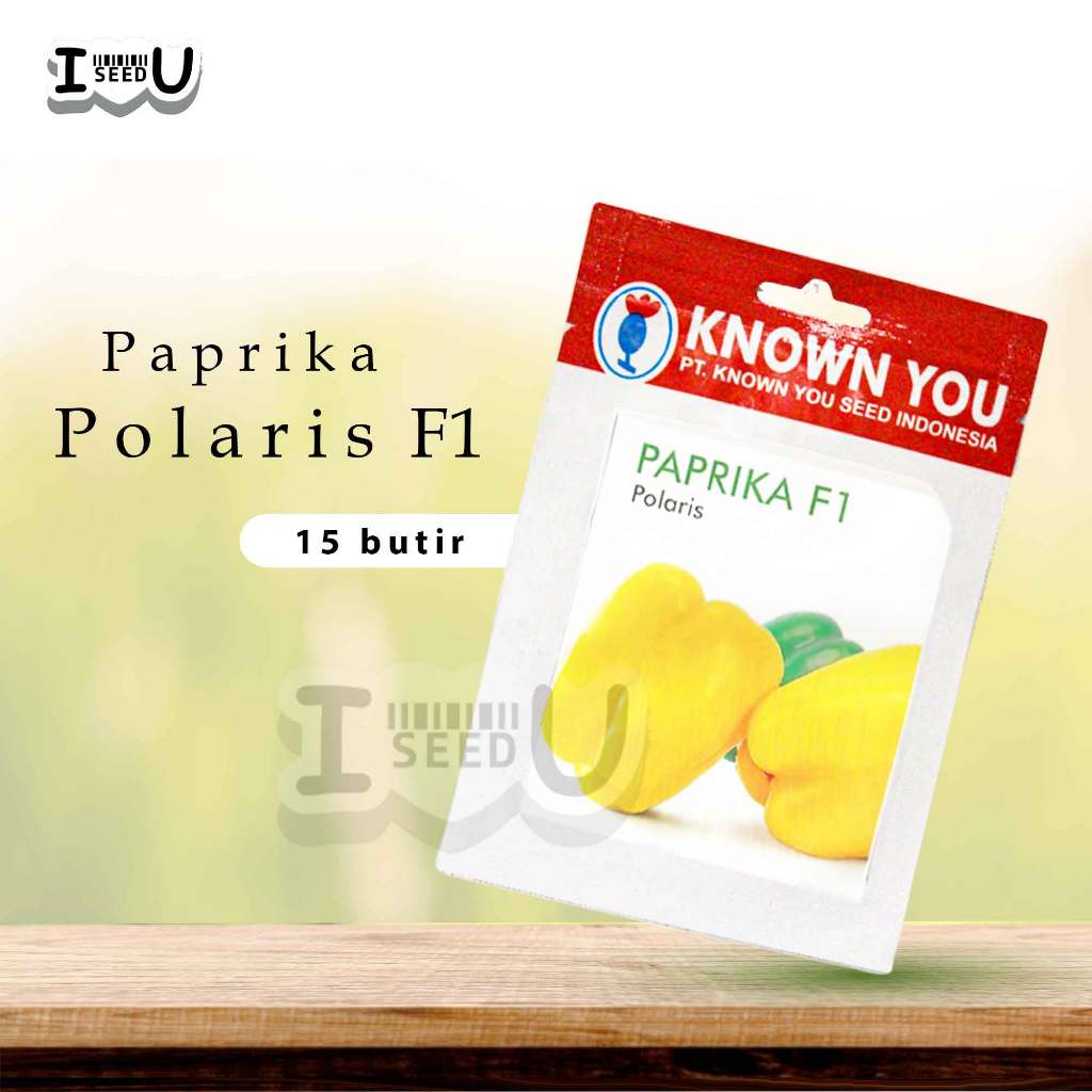 Benih Paprika Kuning Polaris F1 – Known You Seed, Varietas Unggul - Besar & Manis