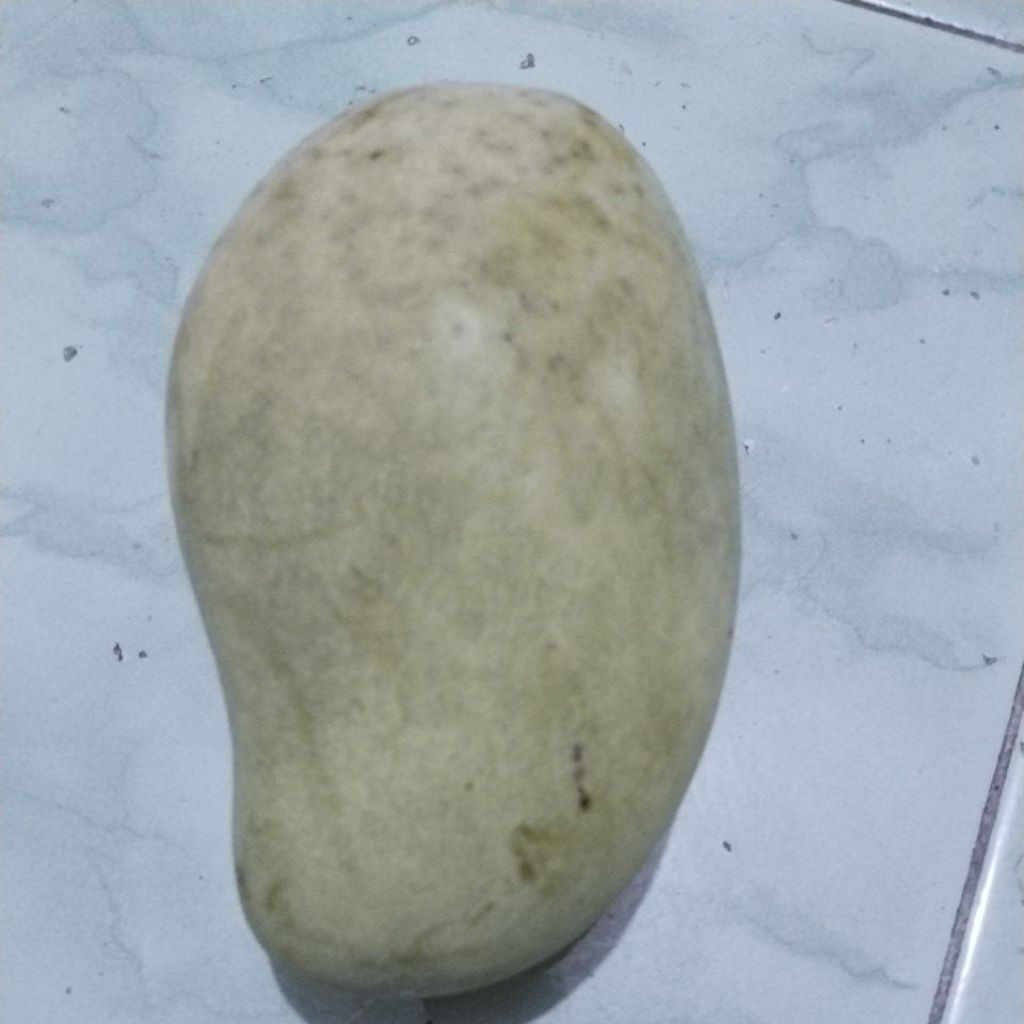 

1 kg-1,1kg mangga mudah fresh jumbo(isi 2 buah) asam buat rujak, asinan,manisan.
