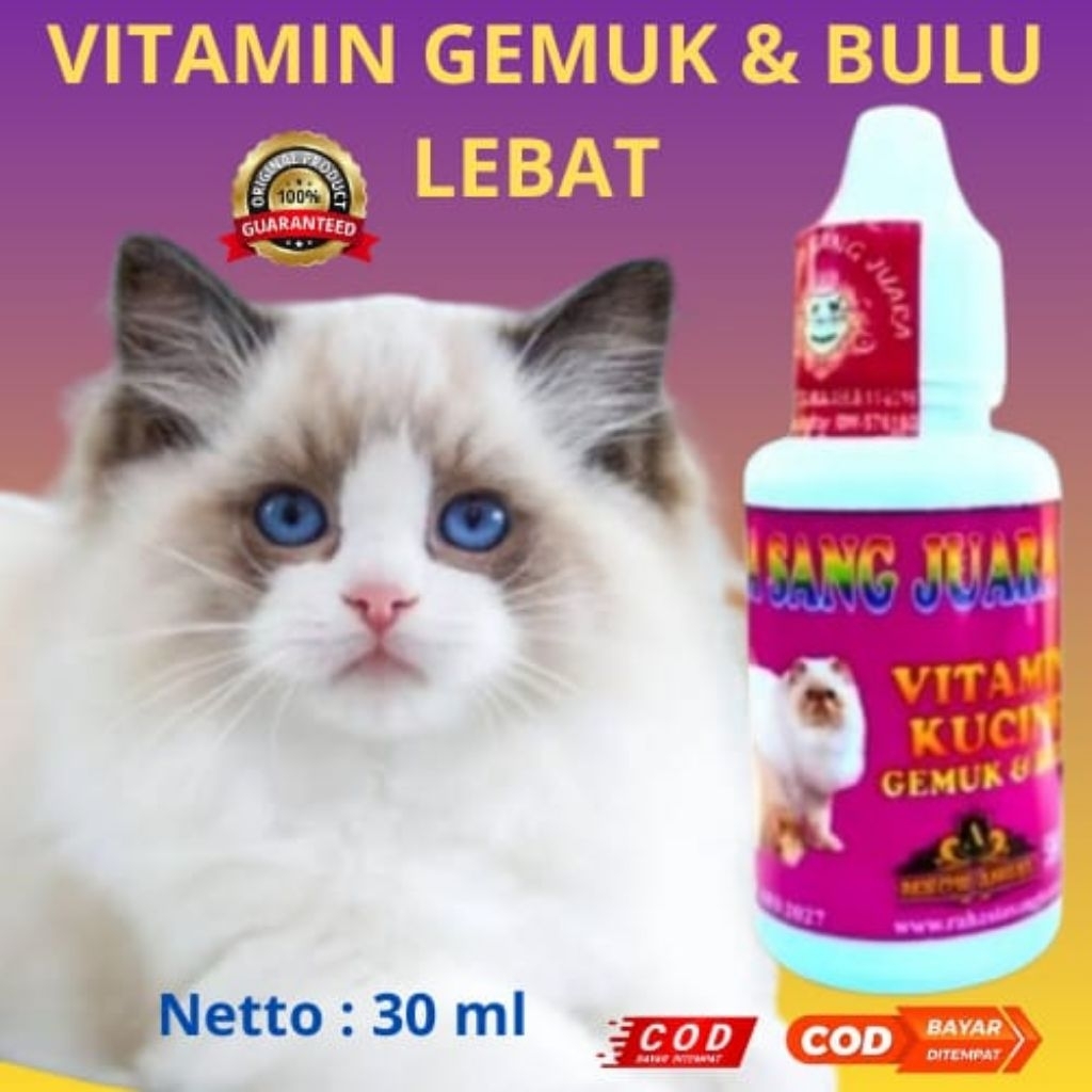 VITAMIN KUCING GEMUK DAN BULU LEBAT