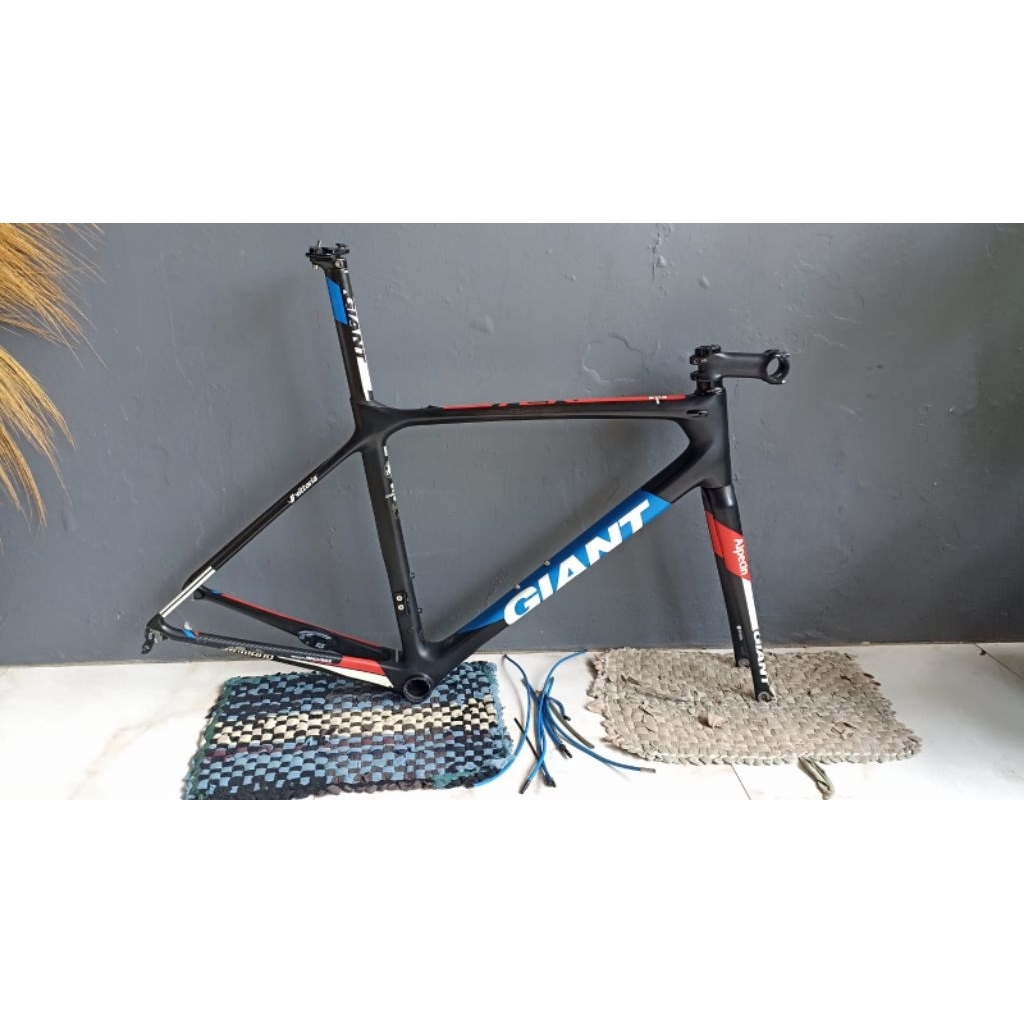 Frame Giant TCR pro advanced Alpecin