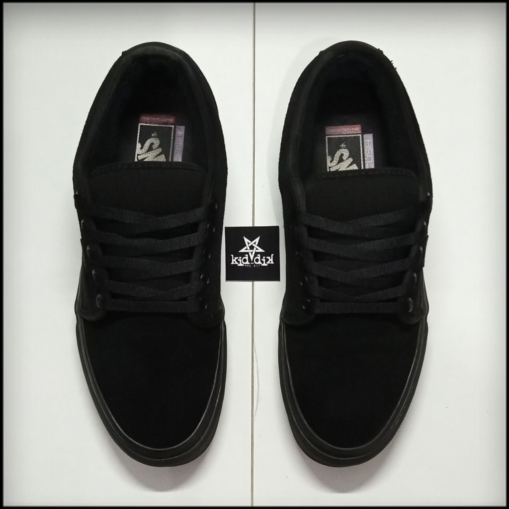 Vans Skate Chukka Low