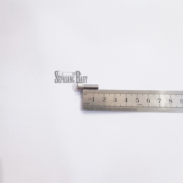 M5 x 15 Baut L Hex Head Socket Screw Stainless 304 M5x15