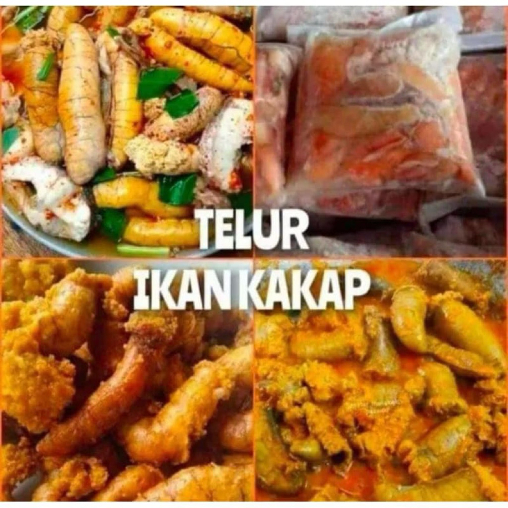

TELUR IKAN KAKAP 500 gram