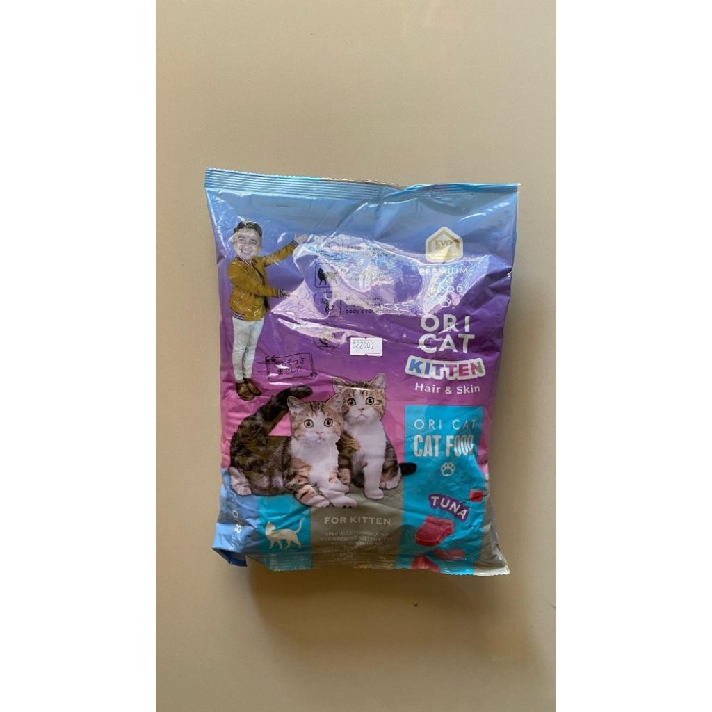 ORI CAT KITTEN