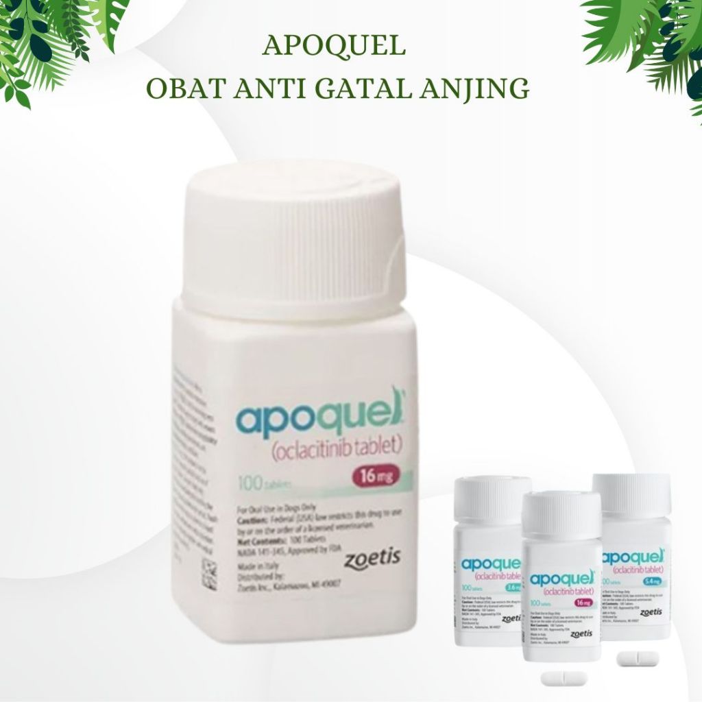 Apoquel per 10 Tablet Obat Anti Gatal Eksim Radang Kulit Anjing Alergi Ampuh Murah