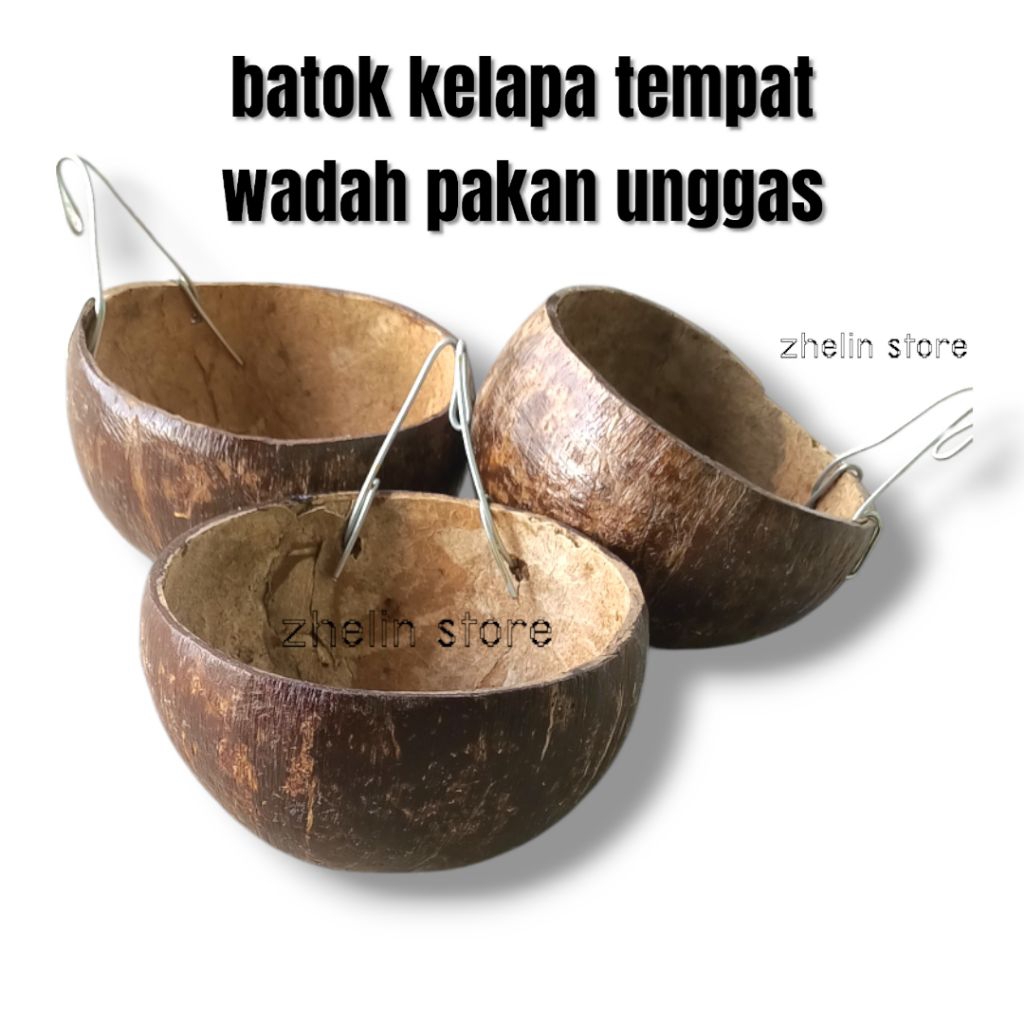 batok kelapa wadah makan ayam