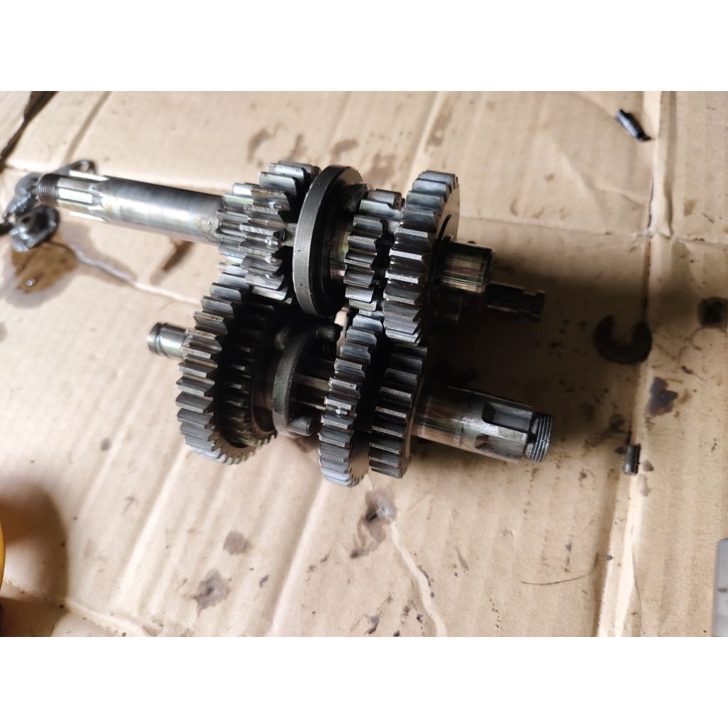 gigi rasio L2S/L2 super original copotan