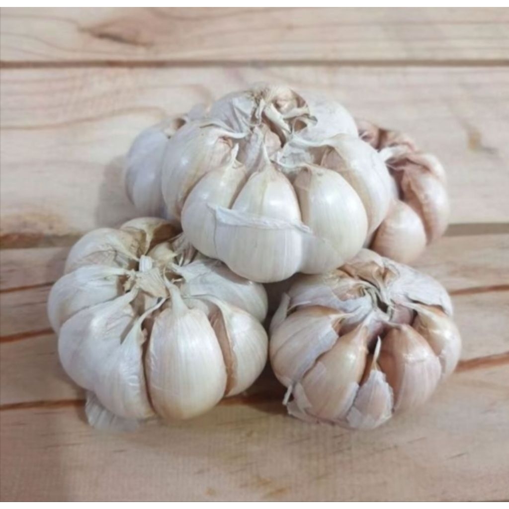 

bawang putih bersih kemasan 1kg