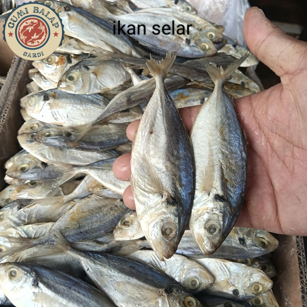 ikan asin selar/selar