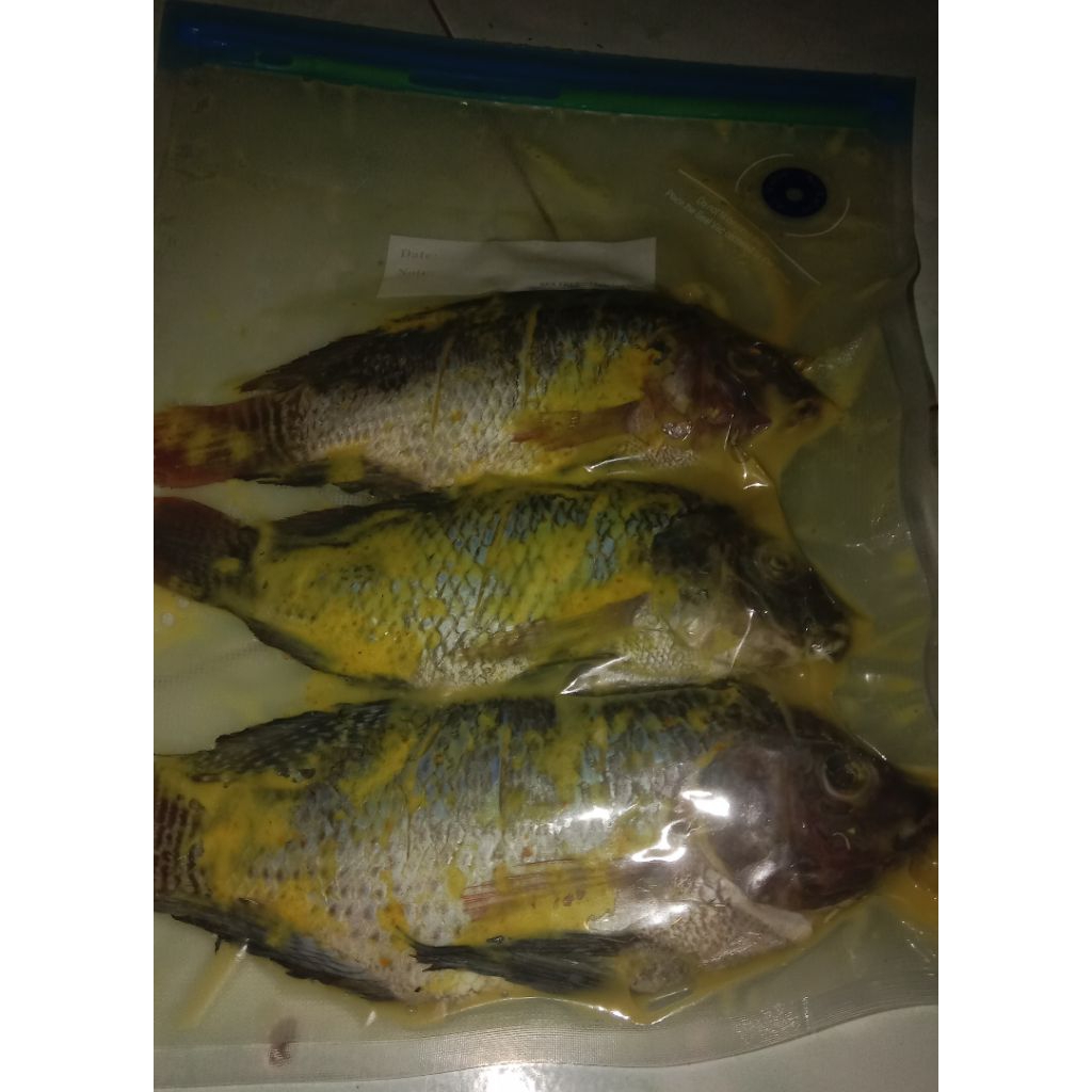 Ikan bumbu kuning frozen