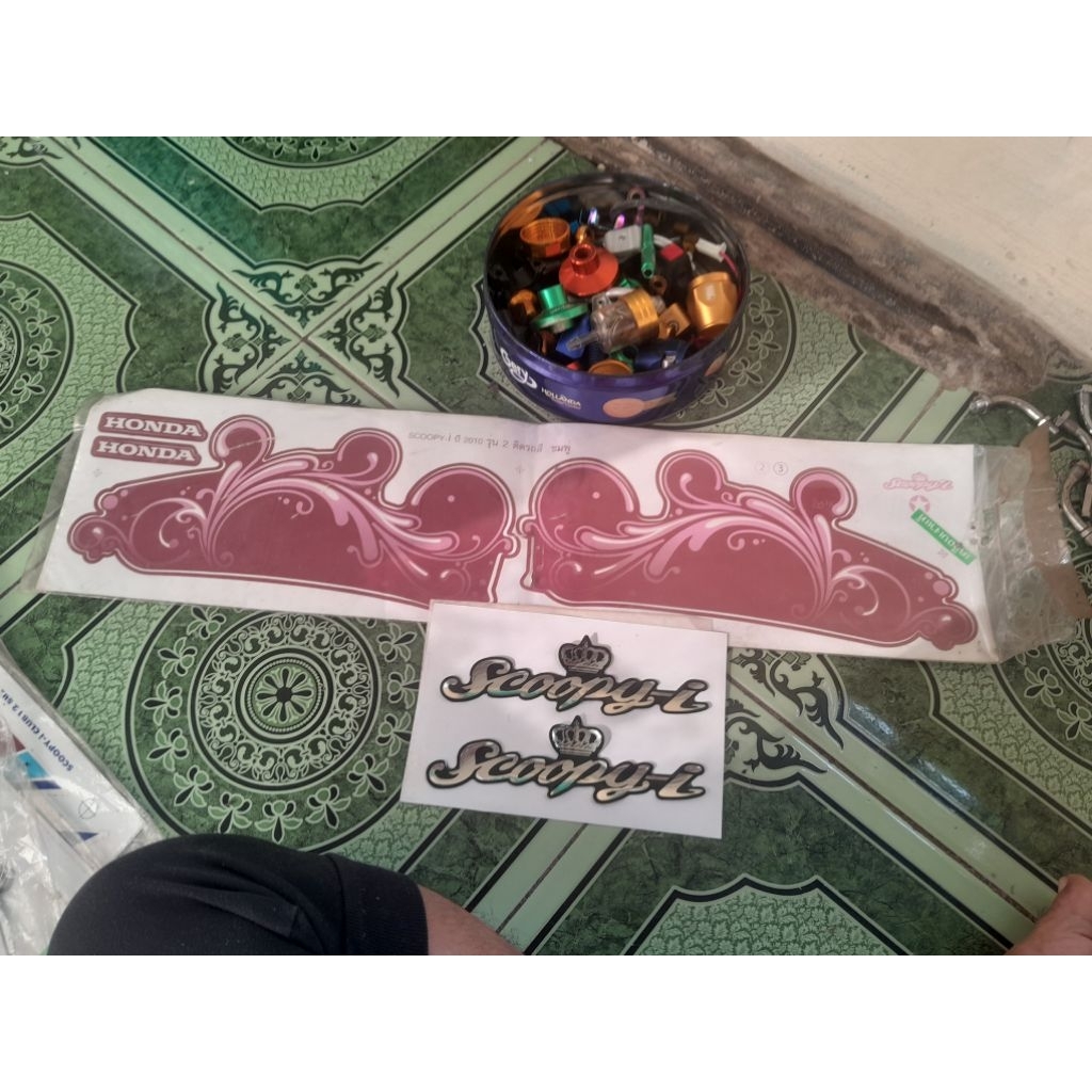 Striping scoopy karbu thailand