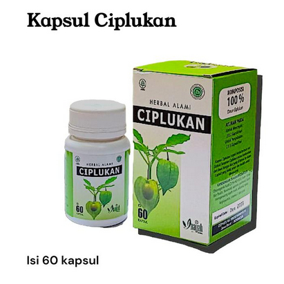 Kapsul Ciplukan - Daun Ciplukan Isi 60 Kapsul