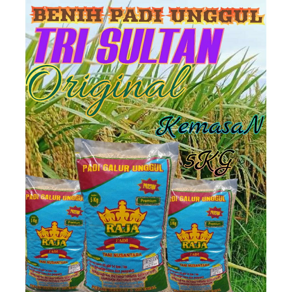 BENIH BIBIT PADI UNGGUL TRI SULTAN NEW KEMASAN 5KG ORIGINAL