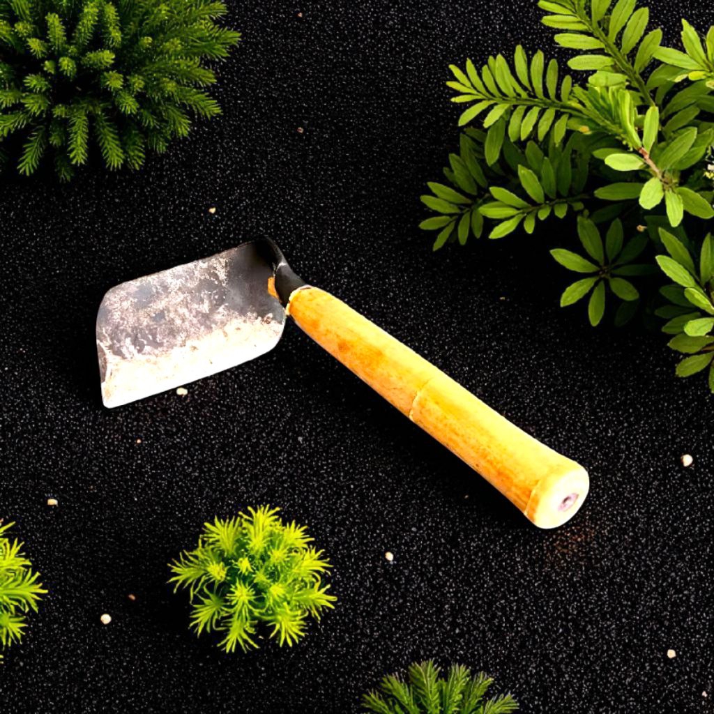 1pcs aret rumput pertanian original bintang lima khas madura