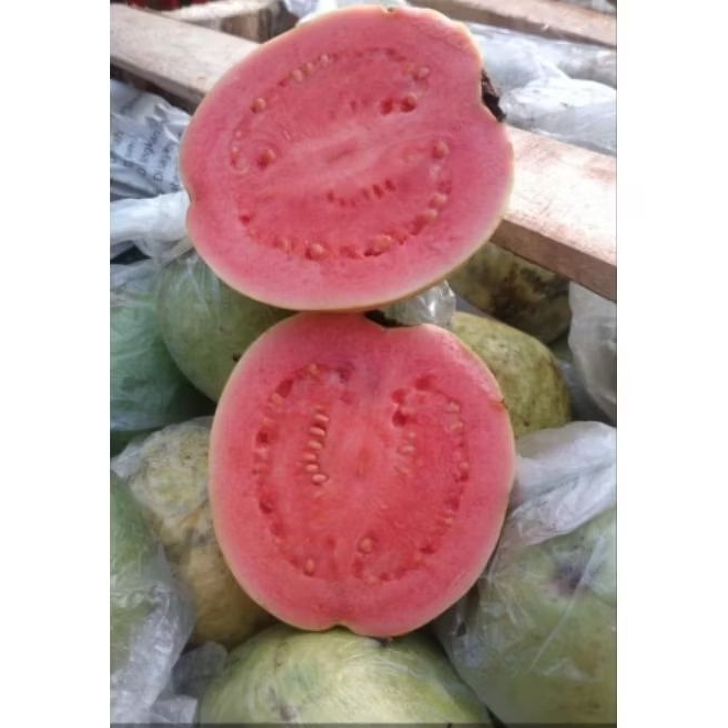 Jambu Merah 1kg