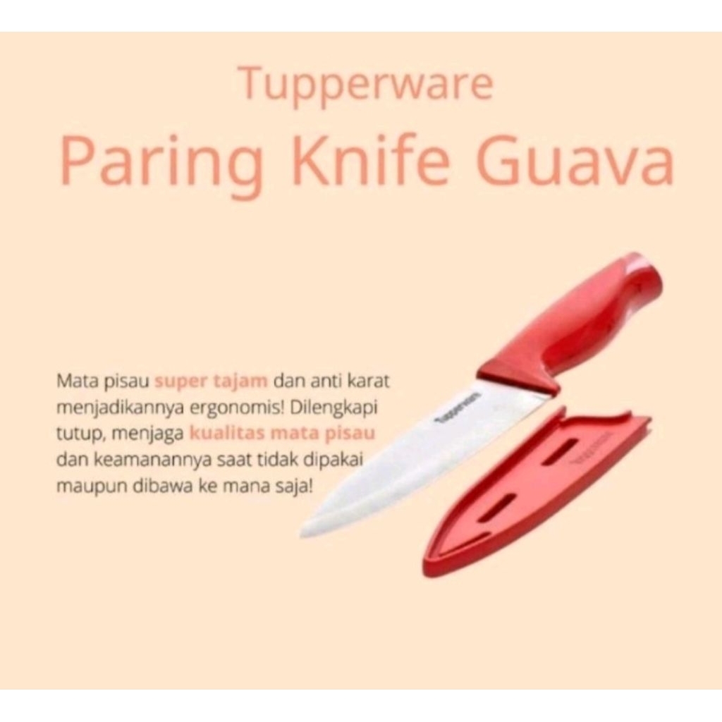 Pisau Tupperware Paring Knife & Large knife Tupperware (1)