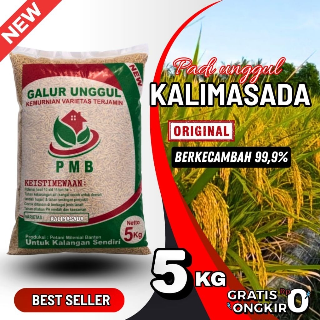 Benih/bibit padi unggul KALIMASADA kemasan 5kg, original