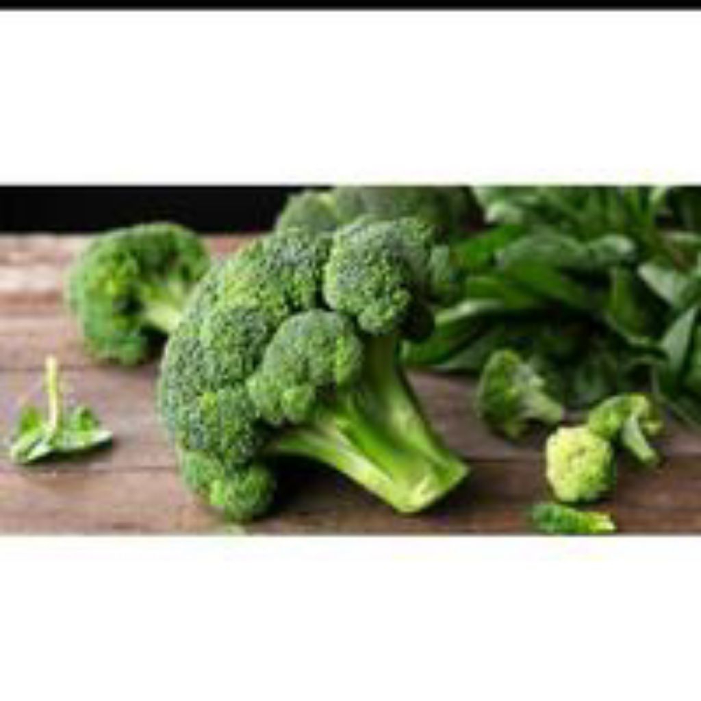 ( 50 BUTIR ) BENIH BIJI BROKOLI HIJAU