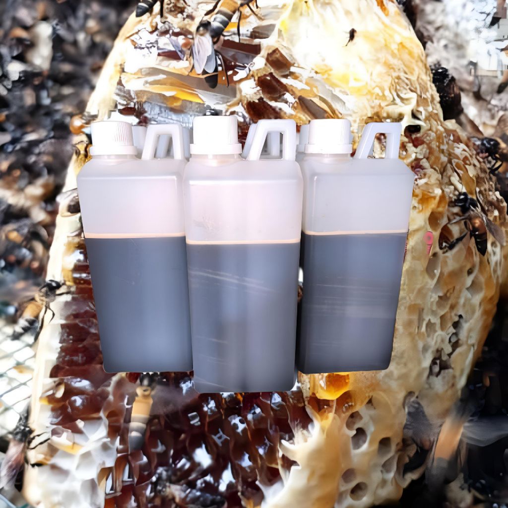 Madu Hutan Riau Akasia Melifera Jerigen 1kg Asli Original