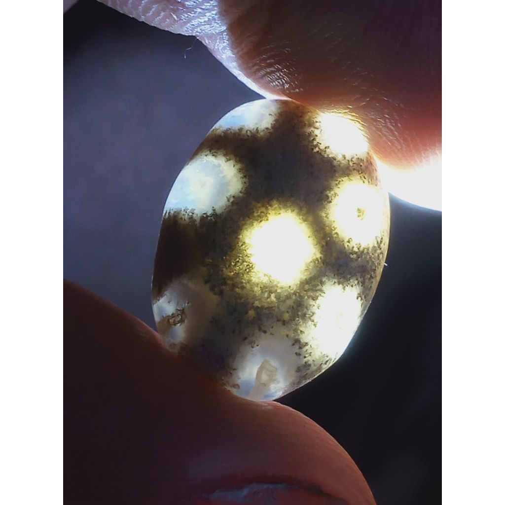 Batu Sarang Semut Combong Lawasan