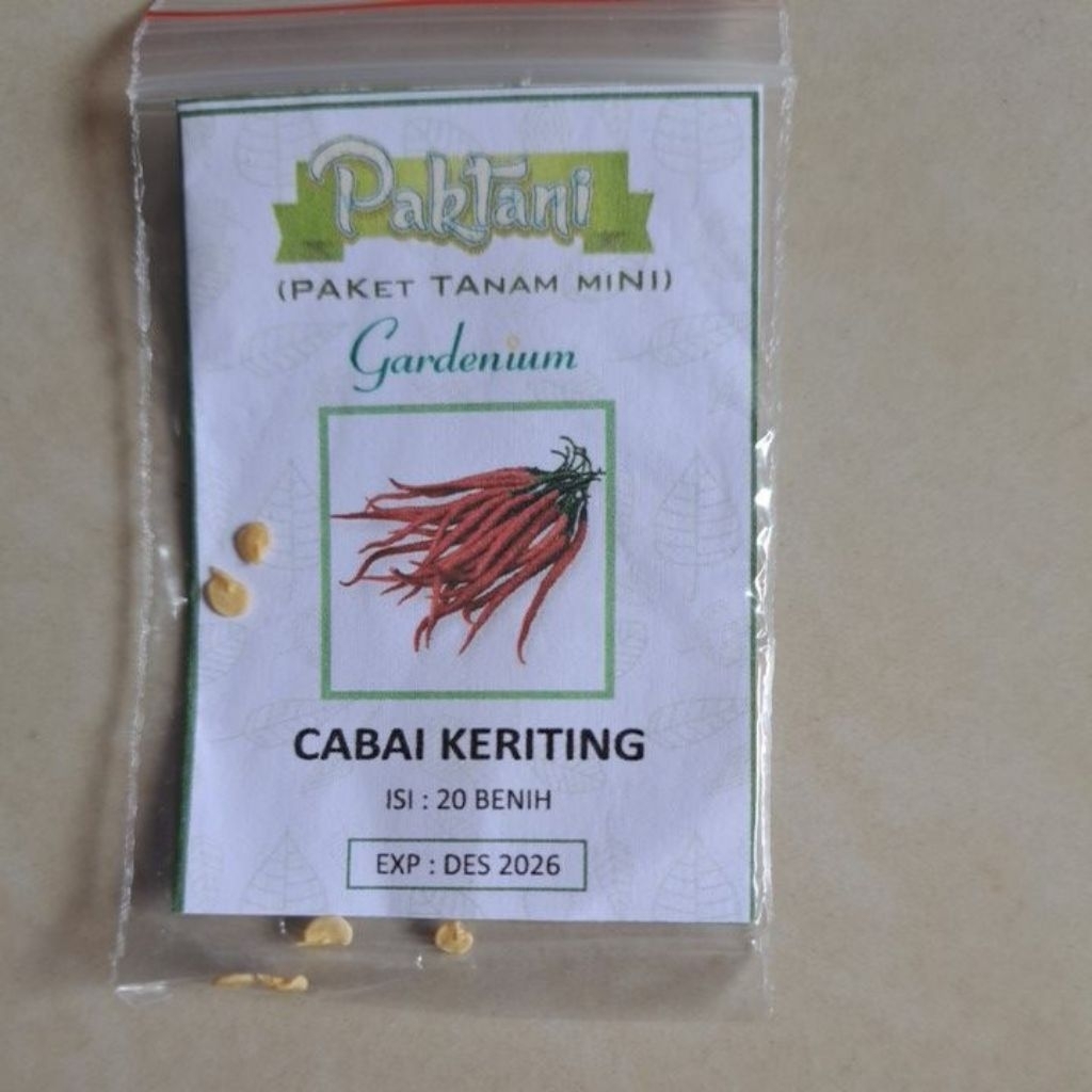 Bibit Cabe Keriting
