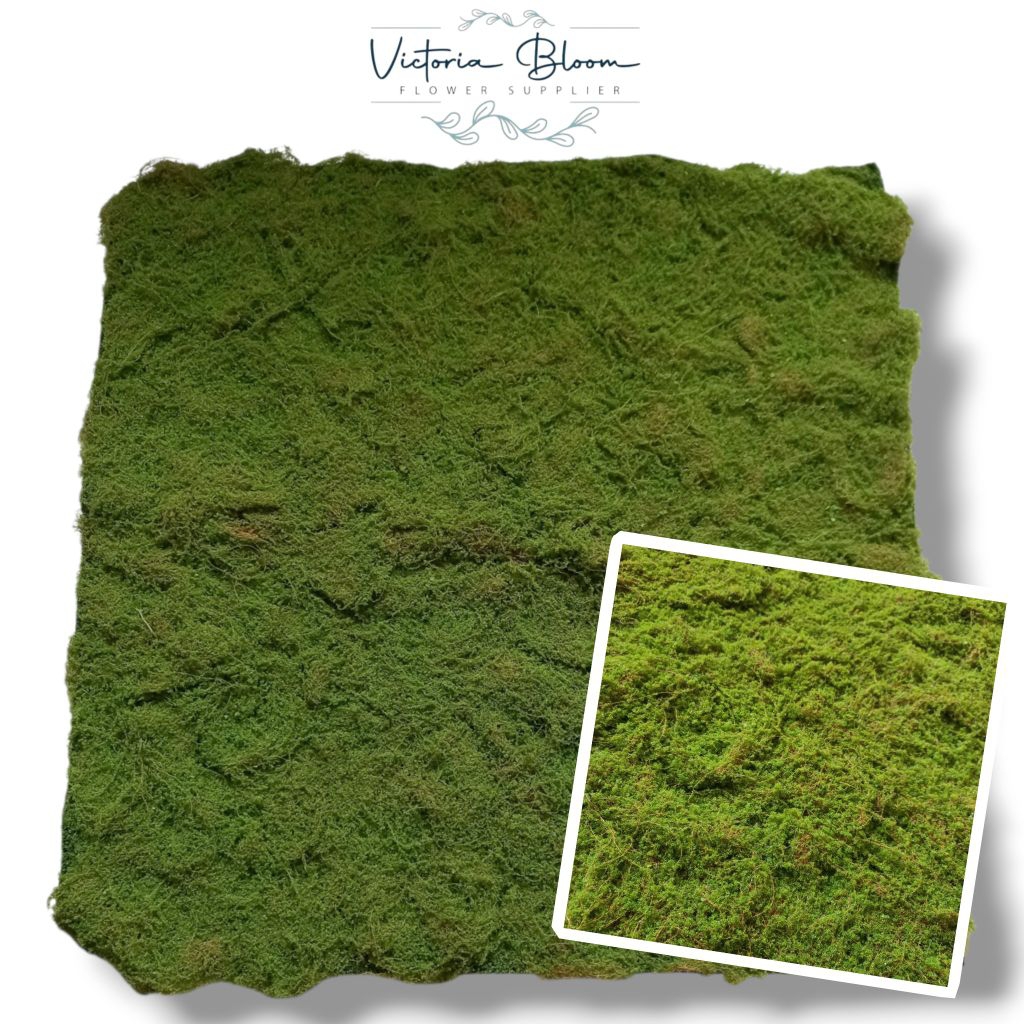 karpet lumut/karpet rumput/moss artifical/dekorasi dinding
