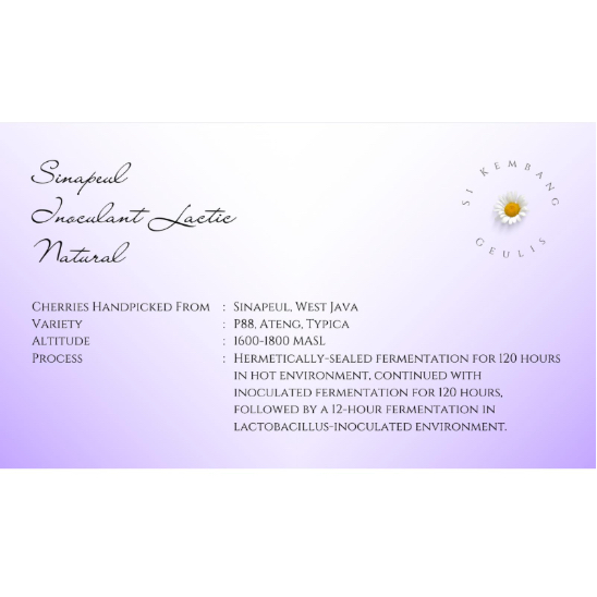 Green Bean Arabica Sinapeul Jawa Barat West Java Inoculant Lactic Natural - Biji Kopi Mentah Arabika