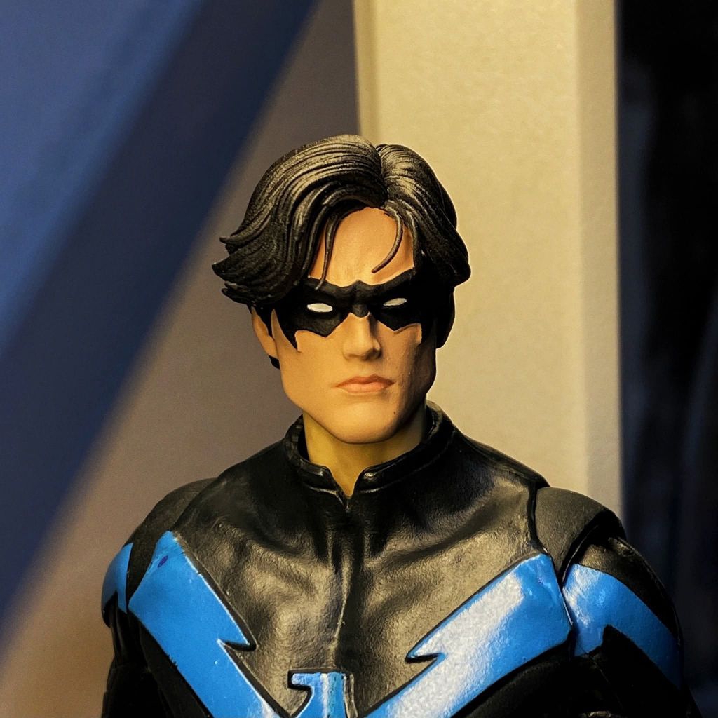 Headsculpt Untuk Mcfarlane Nightwing/Night Wing