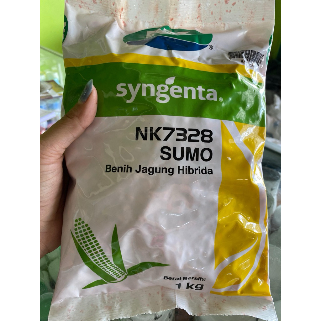 Benih jagung NK Sumo