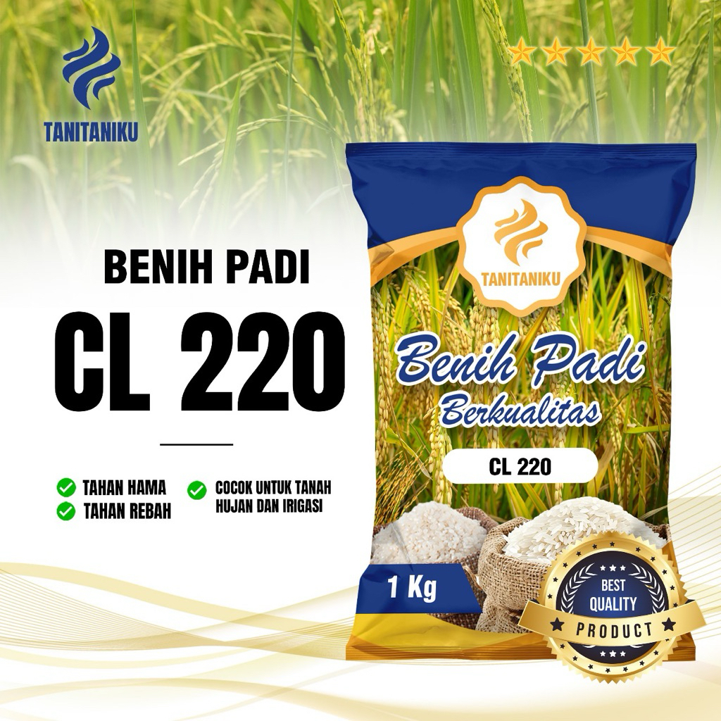 Benih padi bibit padi CL 220 original kemasan 1 kg