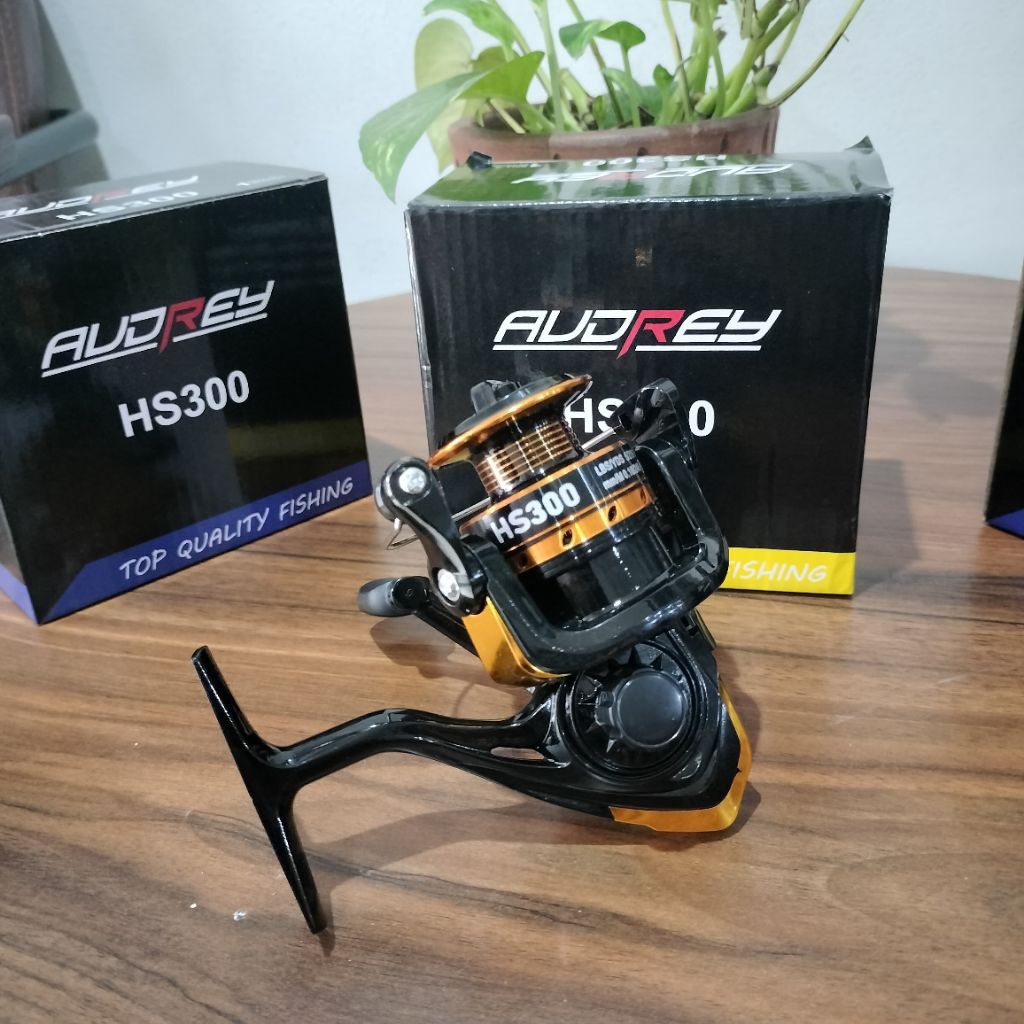 REEL AUDREY BESI HS 300