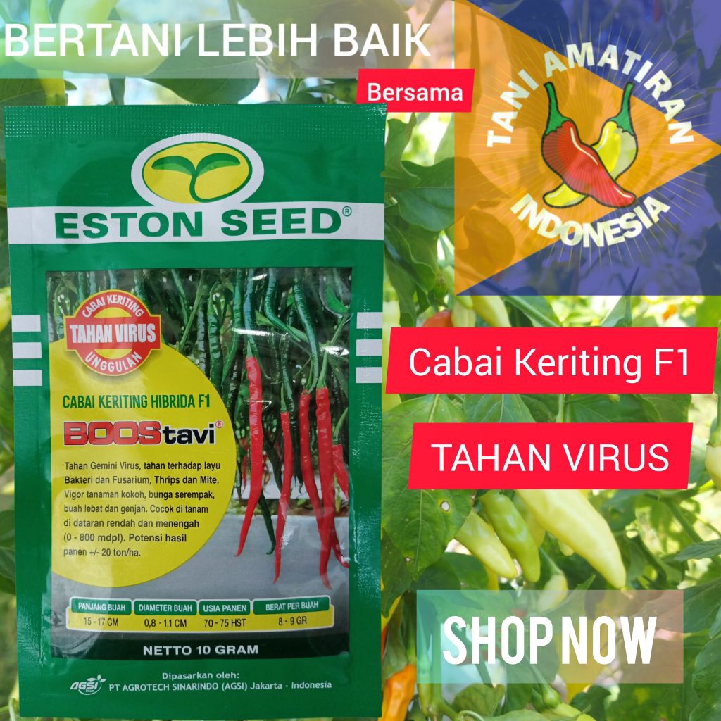 

BOOSTAVI F1 Benih Cabai Keriting Tahan Virus ESTON SEED Original 10gram