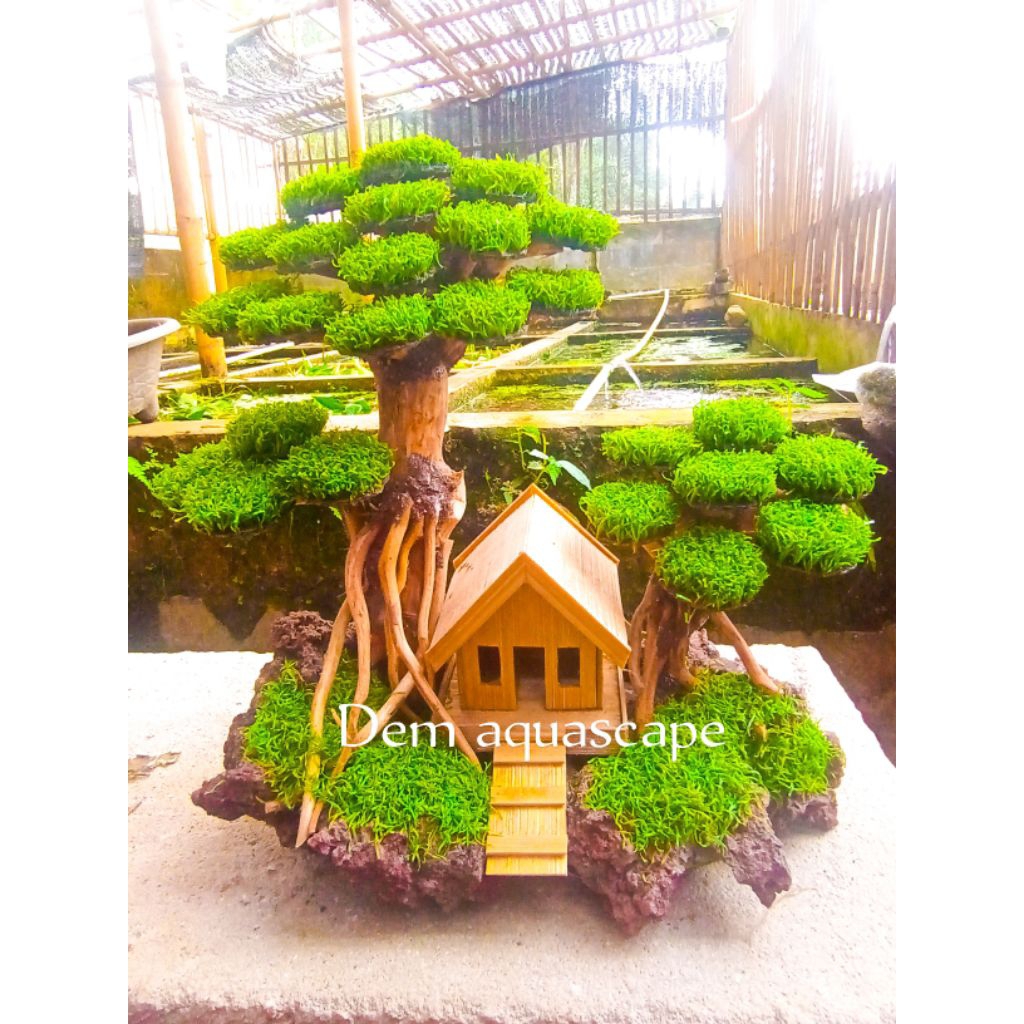 Bonsai Aquascape daun  sintetis
