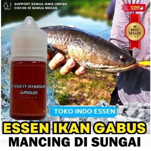 ESSEN MANCING IKAN GABUS DI SUNGAI PALING AMPUH