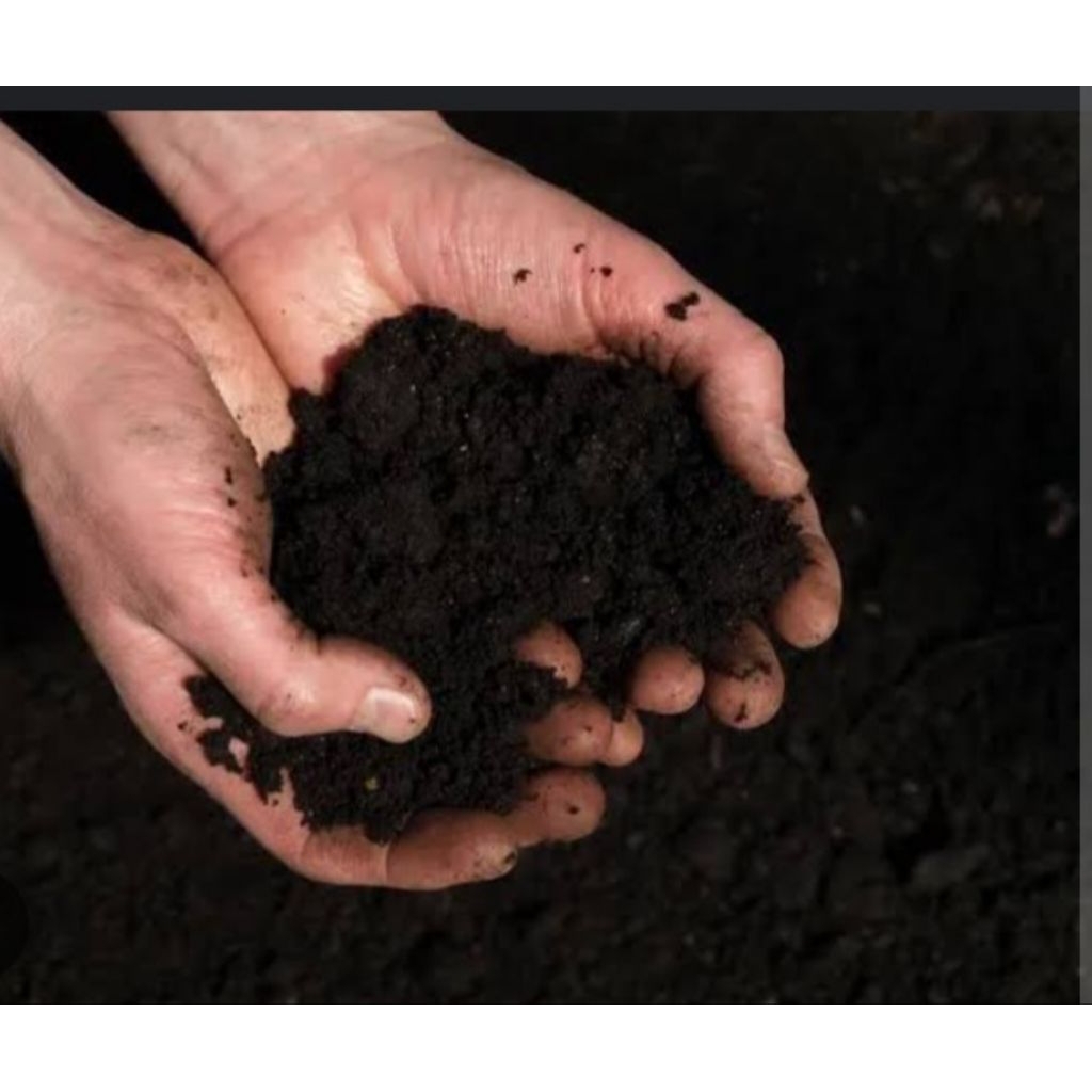 TANAH HITAM TANAH SUBUR 1 KG COCOK UNTUK BERCOCOK TANAM