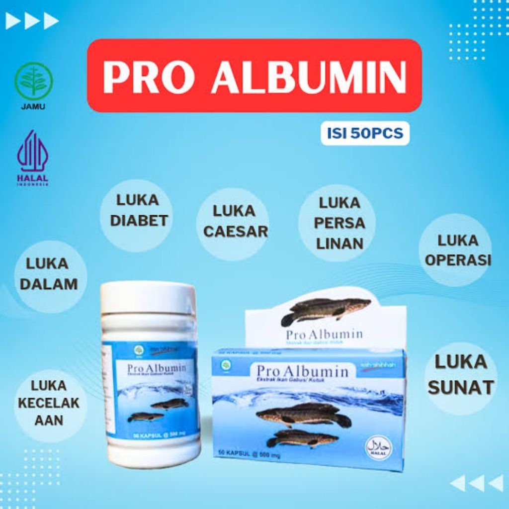 PRO ALBUMIN 50 Kapsul Ekstrak Ikan Gabus/ Ikan Kutuk Pro Albumin obat luka paska operasi