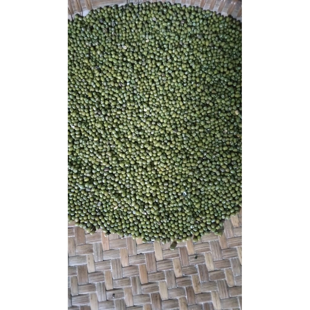 kacang hijau lokal  1kg