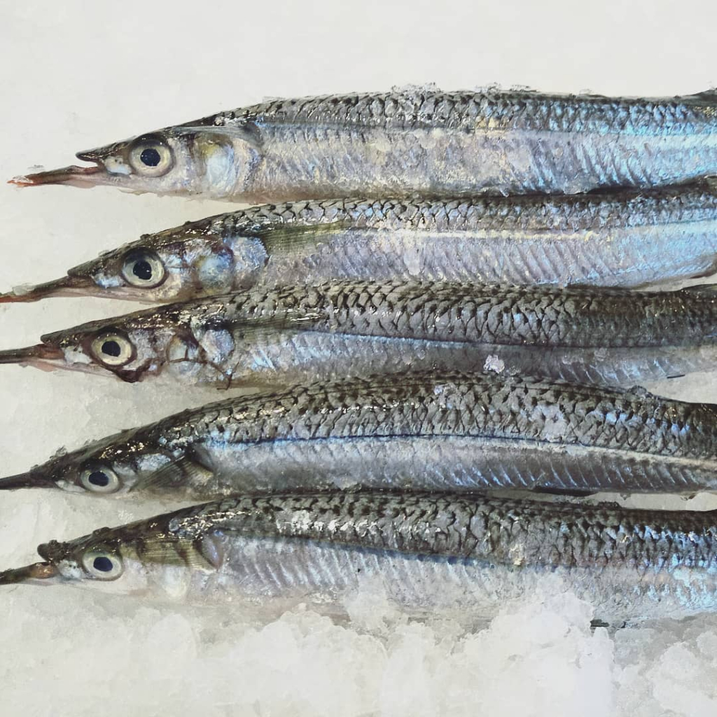 

Ikan Julung Julung Ikan Kacang Kacang 1Kg Seafood Ikan Laut Segar