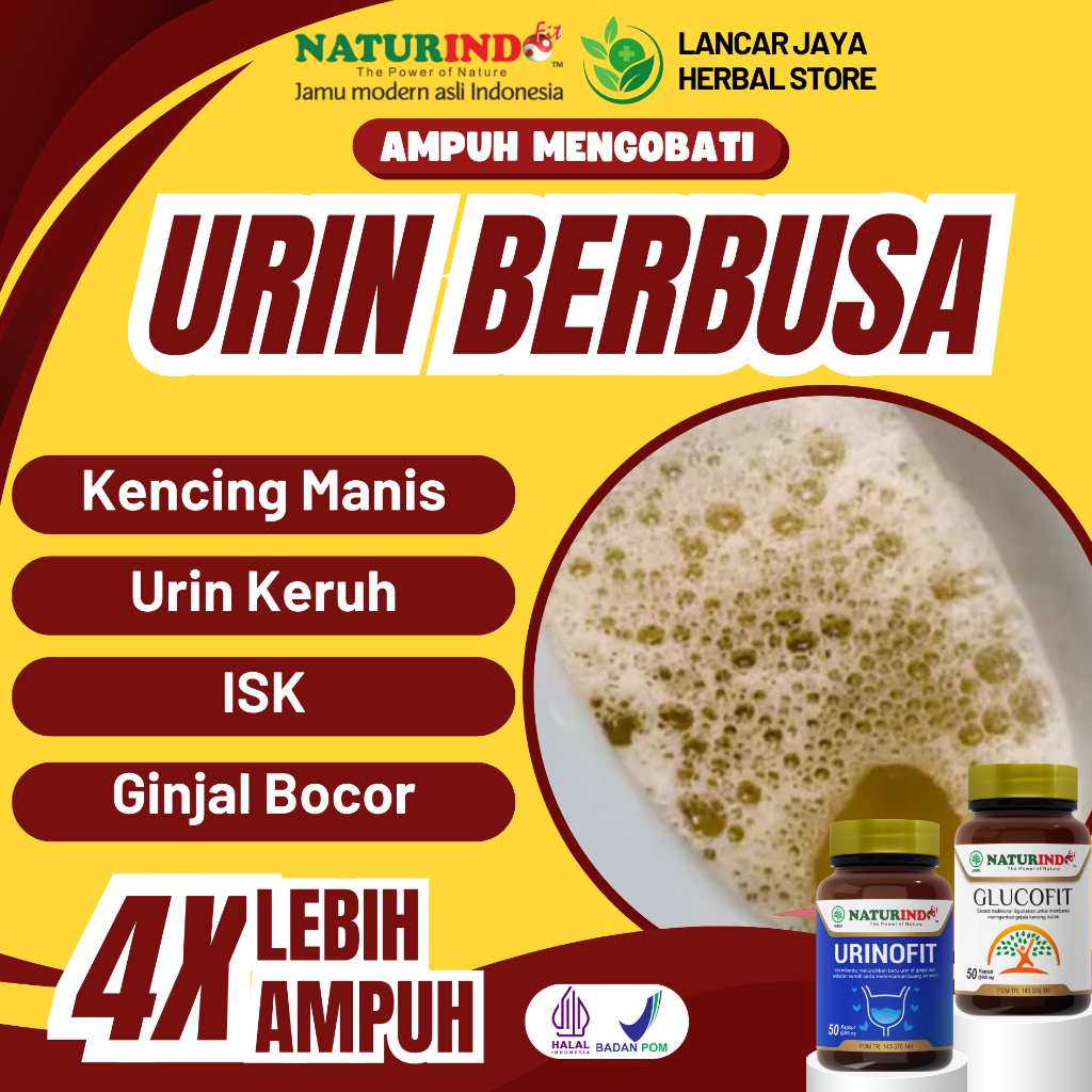 Obat Urin Berbusa Kencing Manis Isk Berbuih Urinofit Herbal Naturindo