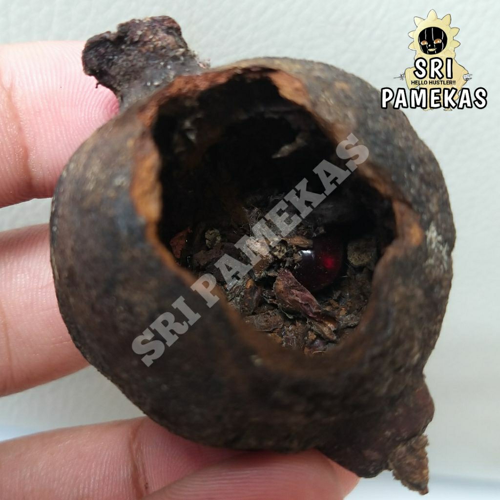 Sri Pamekas Selection Batu Permata Merah Delima Nitis Dalam Buah Delima Alami