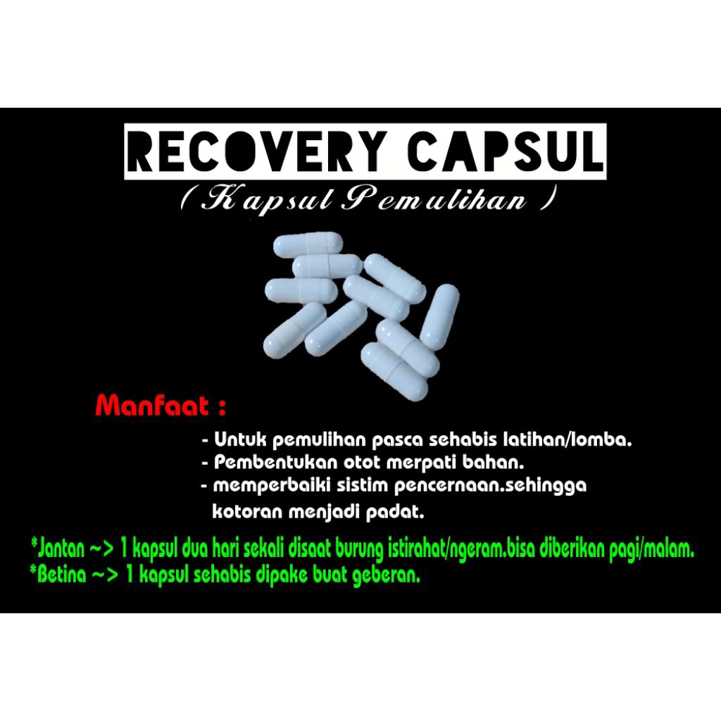recovery capsul / kapsul pemulihan merpati