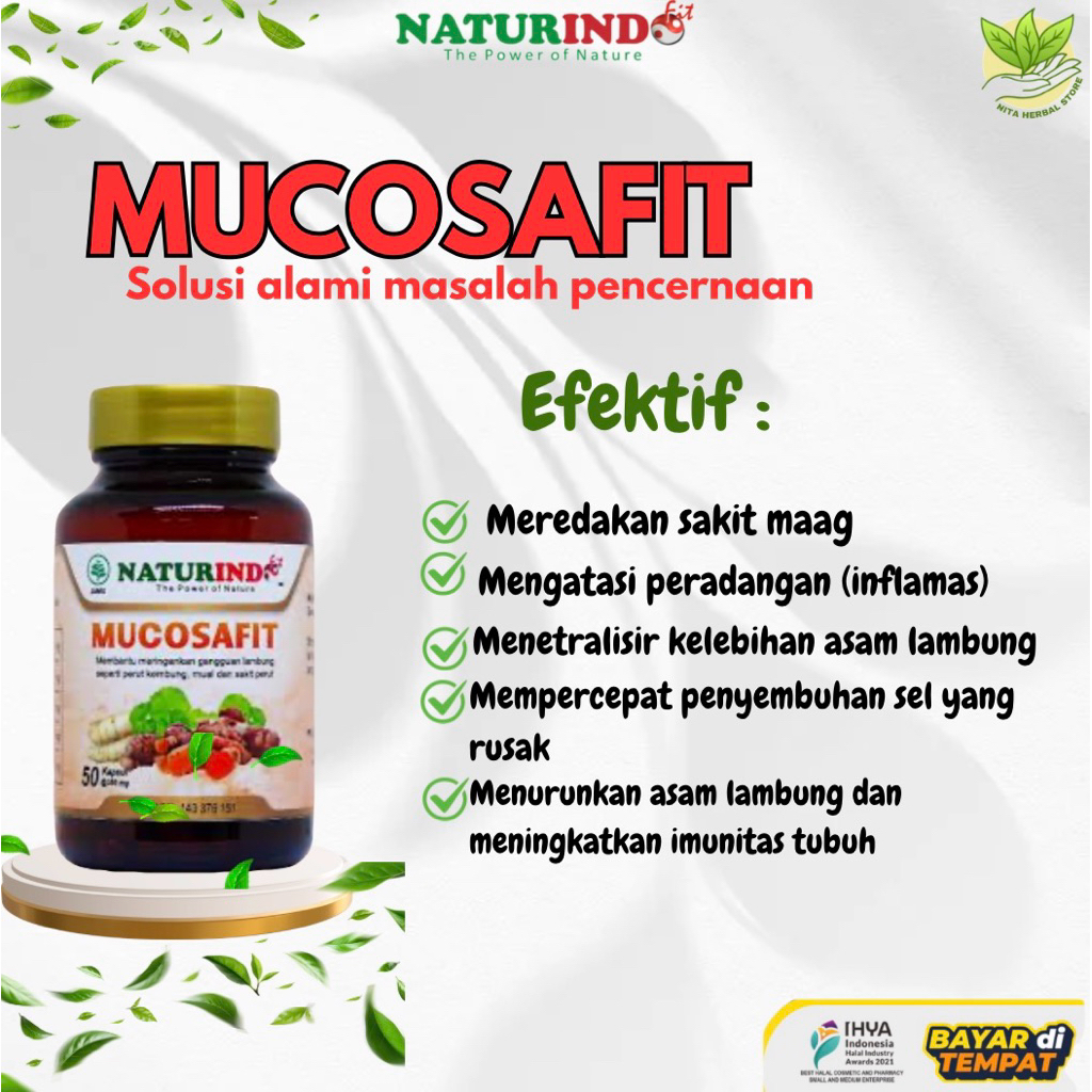 Obat herbal lambung NATURINDO MUCOSAFIT
