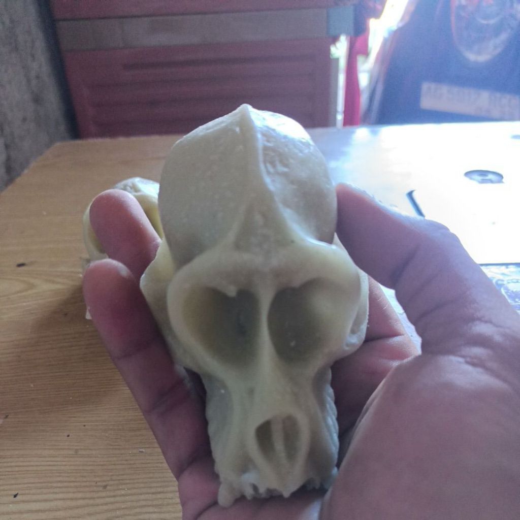 replika tengkorak monyet