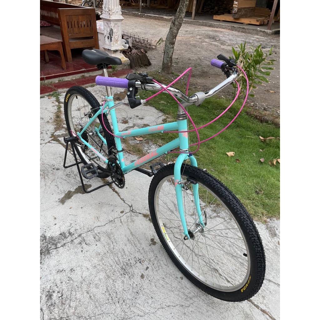 commuter bike federal lady