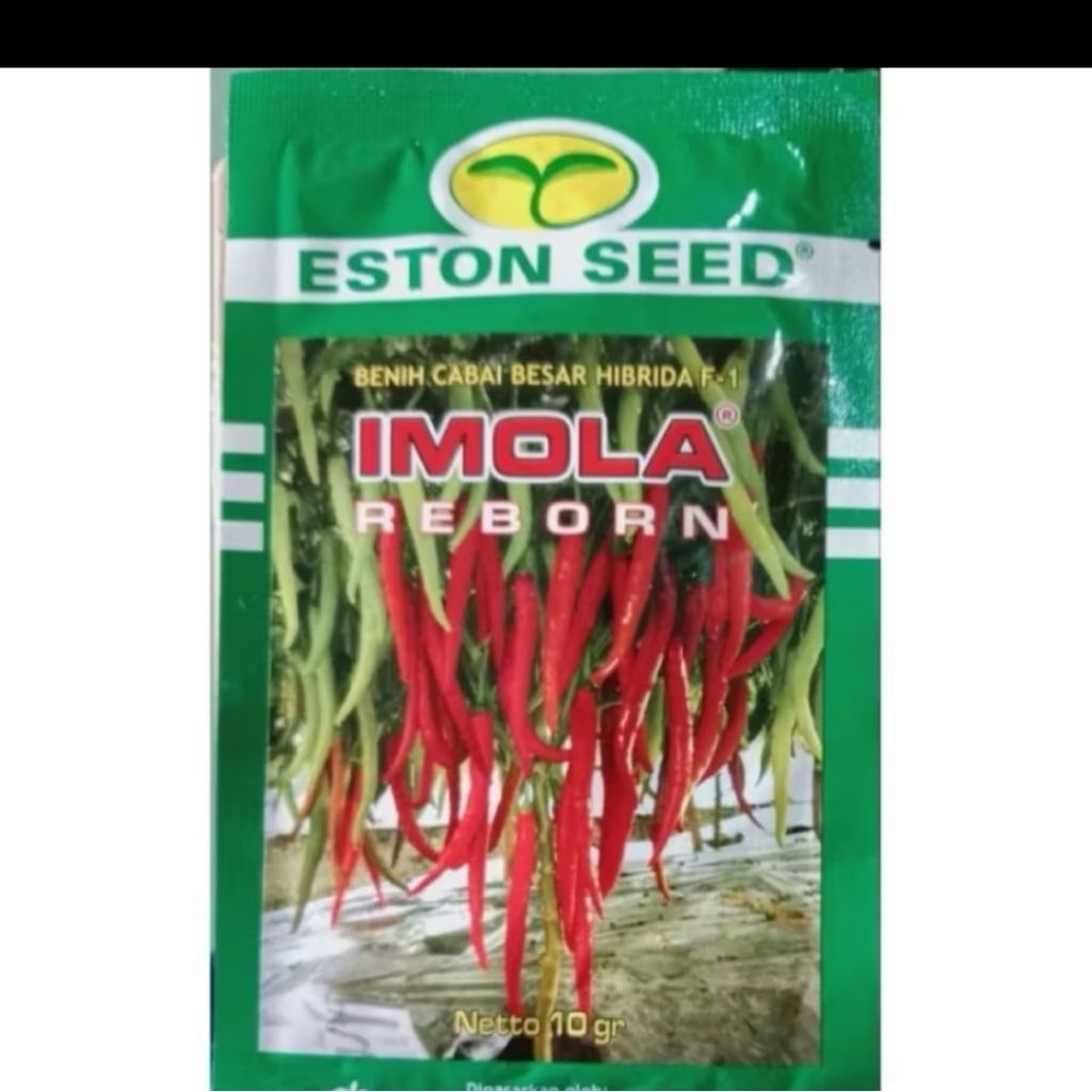 BENIH CABE IMOLA REBORN