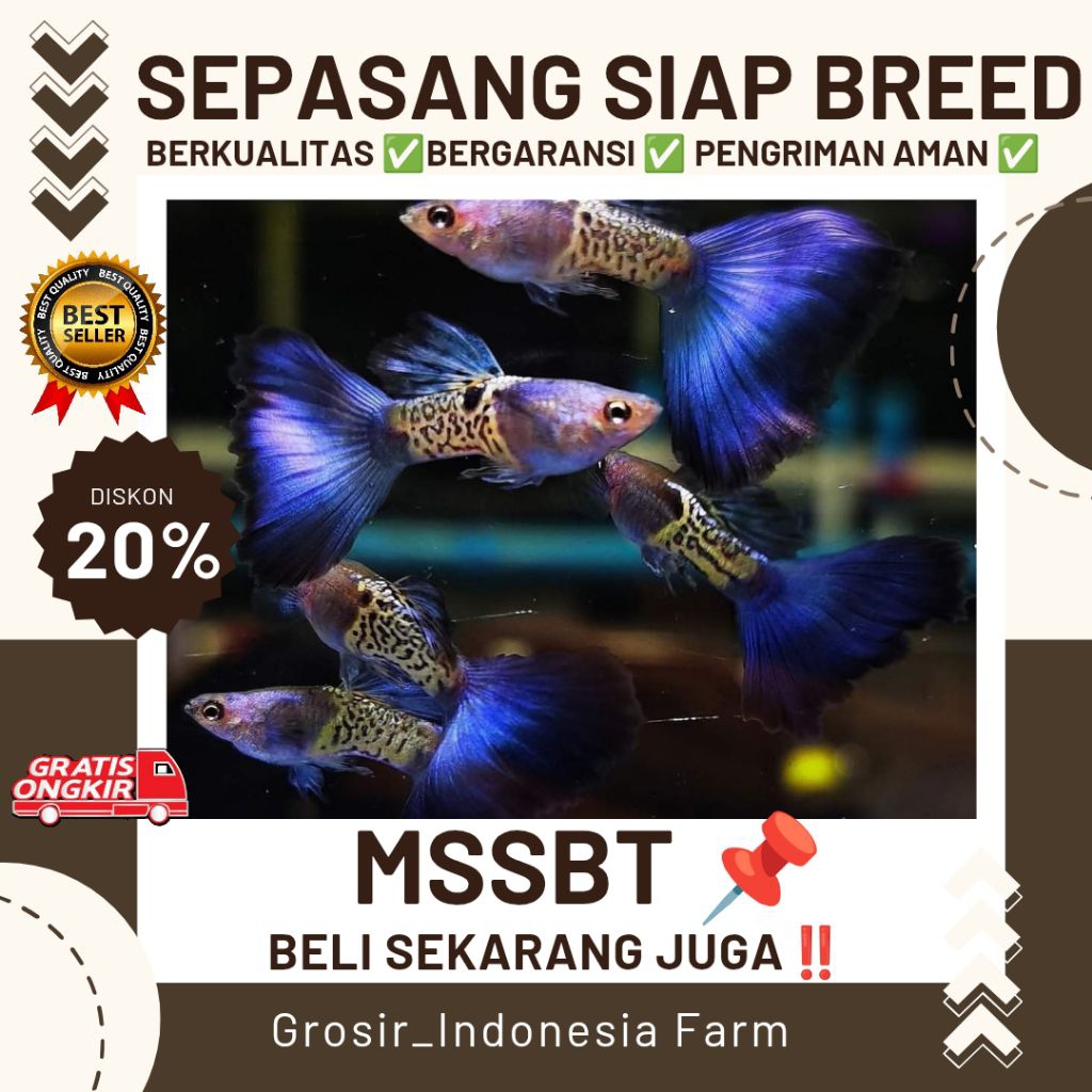 PLASTIK PE GAMBAR MSSBT [METAL SNAKESKIN BLUE TAIL]